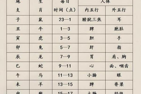 探索命理学的奥秘：揭示个人命运的密码与智慧