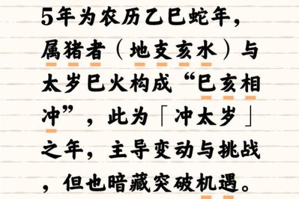 属猪40岁命运探秘：开启人生新篇章的智慧与勇气