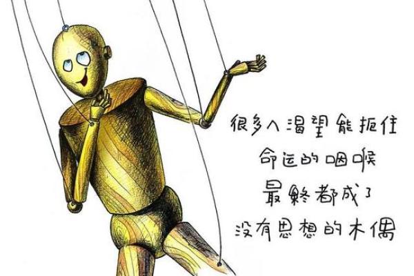 一九四九年出生的命运分析与人生哲学探讨
