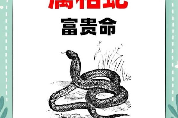 属蛇人命不好见解：命运与性格的交织与挑战