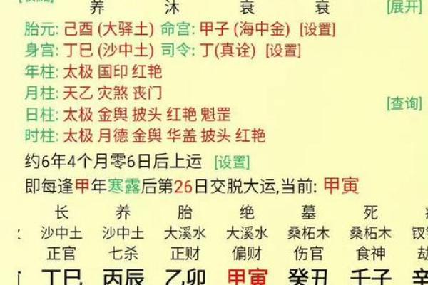丁卯年出生的人命运分析：揭秘与众不同的人生轨迹