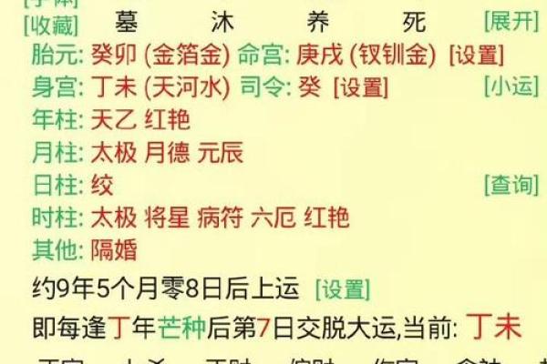 丁卯年出生的人命运分析：揭秘与众不同的人生轨迹