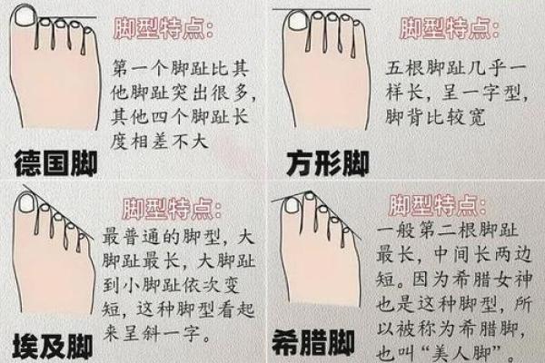 揭开富贵米字命的秘密：脚型与命运的奇妙关联