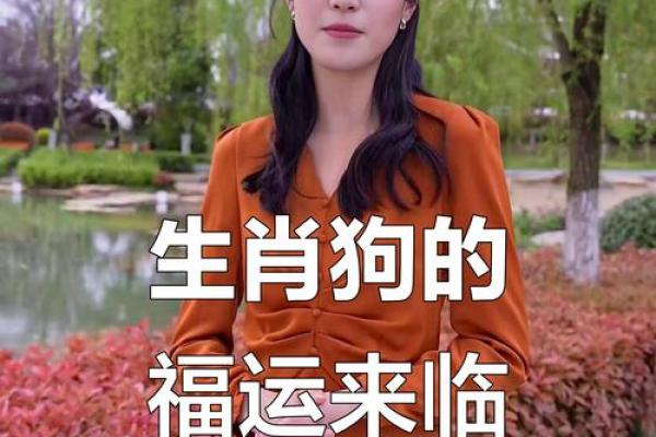 1921年属狗的命运解析：吉凶与运势的深度探讨