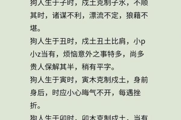 2005年属狗人的命运解析与精彩人生指导