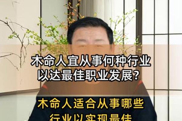 木命的人适合哪些行业与职业？深度解析与指导