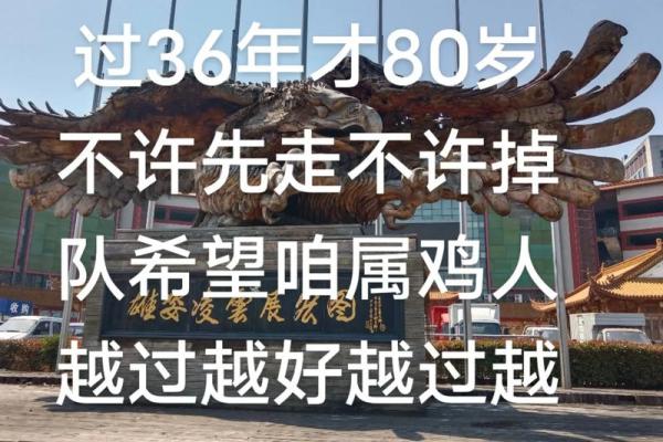 81年属鸡的人命运解析与生活指南
