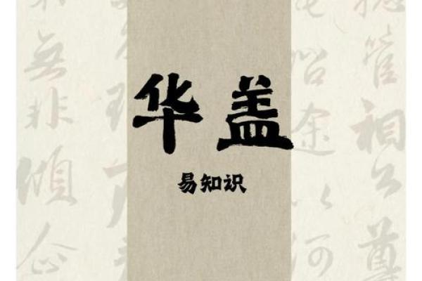 华盖的深刻含义与影响探究