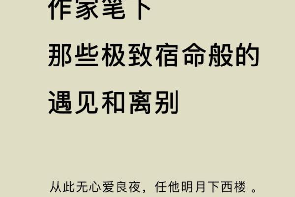 命运交错：解读《一命抵一命》的深意与情感纠葛