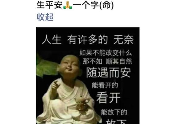 命字的魅力：揭示人生与成语的智慧之道