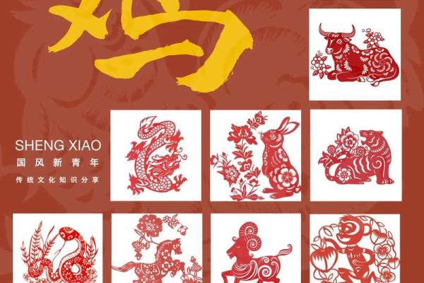 40岁属鸡人的命运解析：揭示人生的财富与智慧之路