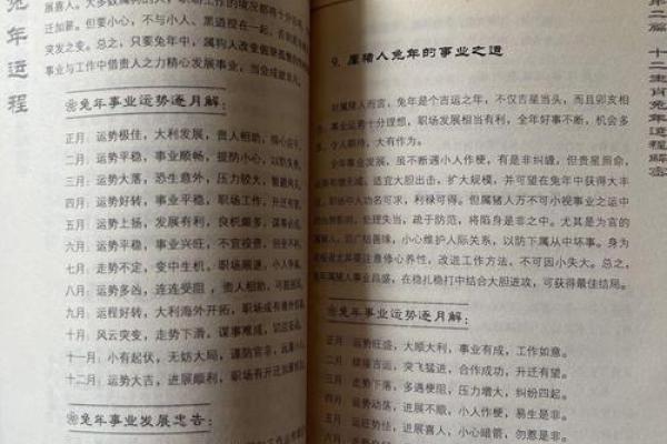 探索百命年：深入解析其文化与人生智慧