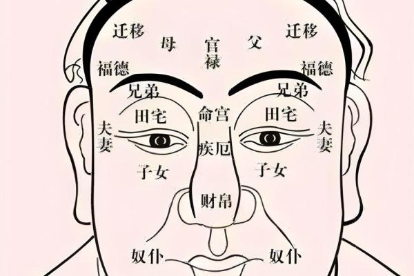 关于额头短的人命运解析，揭秘生活中的神秘奥秘！