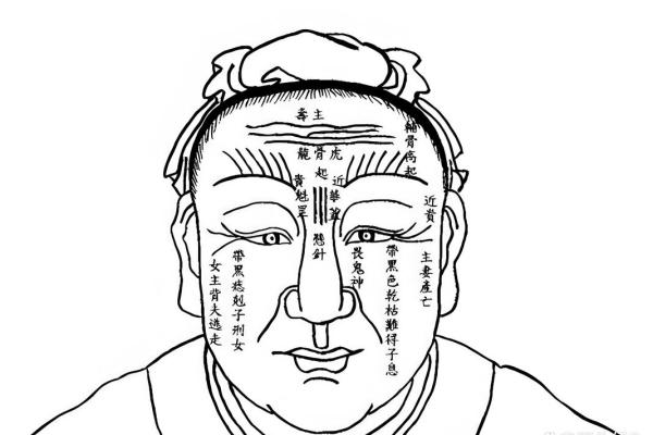 关于额头短的人命运解析，揭秘生活中的神秘奥秘！