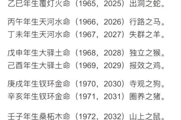 算命儿子是什么命格？揭开命运的神秘面纱！