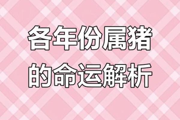 1986年属猪的命运与性格解析：探讨生活中的机遇与挑战