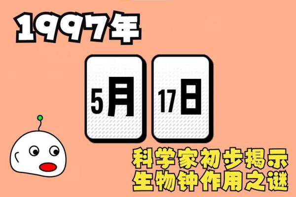 生小孩什么月份命最好：揭示神秘的月份之谜