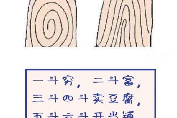 男生十簸箕命运解析：命理背后隐藏的深意与启示