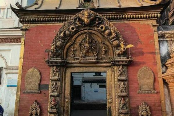 宫殿瓦上金,智慧与运势的化身 宫殿瓦上金,智慧与运势的化身