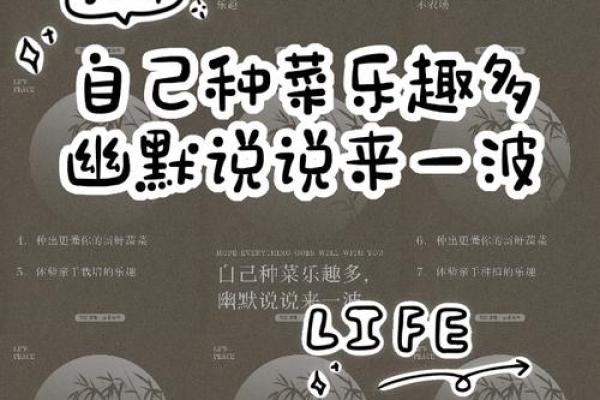 特别爱吃青菜的人，命运中的绿意与人生哲学