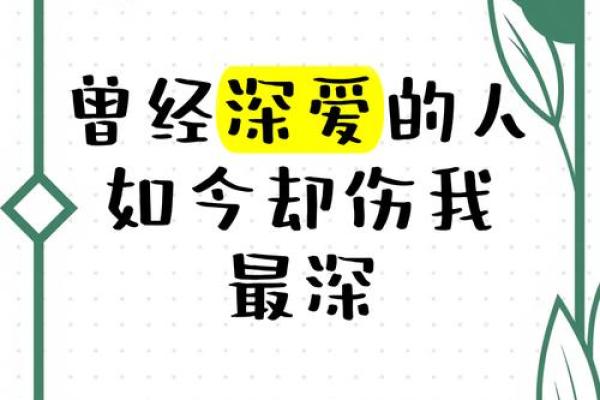 关于救赎与爱：探讨《我拼了命》背后的深意与情感