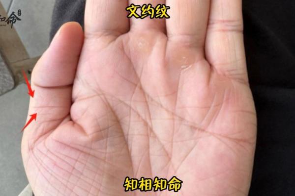 大拇指的秘密：探索与命运的微妙联系与启示