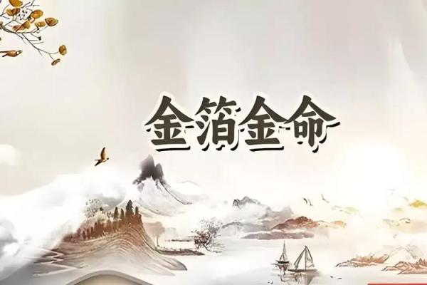 金命人适合从事的职业与发展方向分析