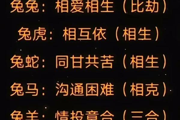 1951年出生的兔年命运解析与生活智慧