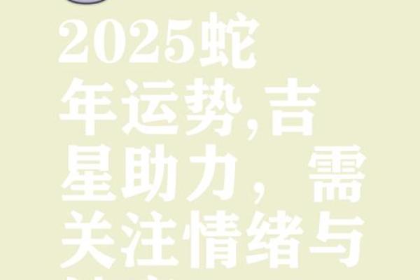 蛇在12月的命运解析：如何把握运势，创造美好未来