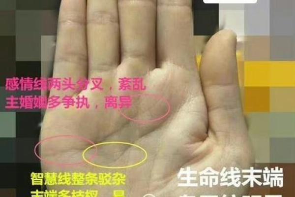 破解女人断掌纹的命运之谜：你是好运的拥有者吗？