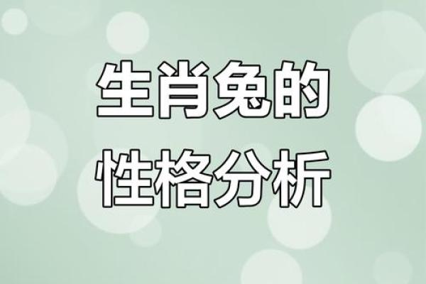2023年67岁属什么命？揭示属兔人的命理与运势解析
