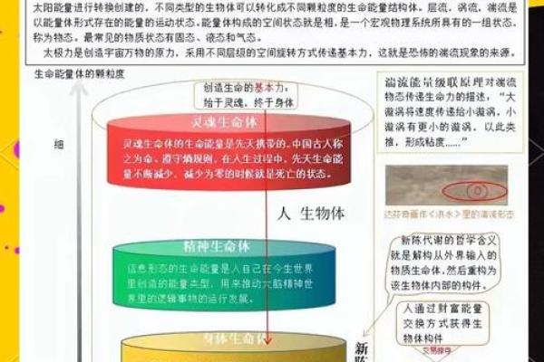命长的人心理解析：探索生命与心理的深层联系