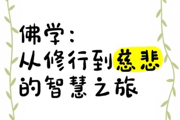修行与命运：探索内心的真谛与智慧之旅