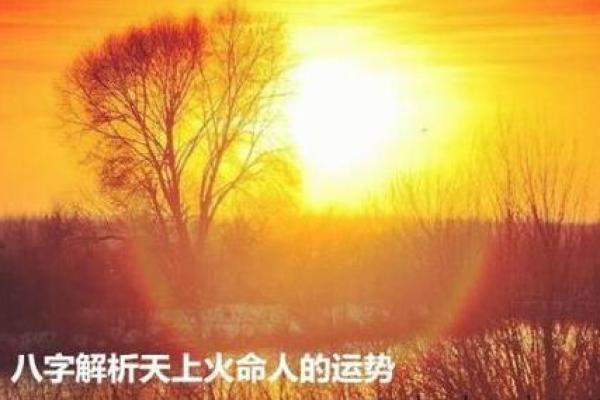 天上火命如何养金鱼，提升运势的秘密你了解吗？