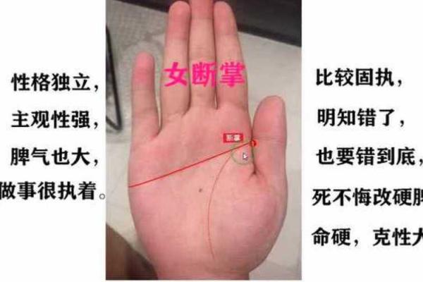右手女人断掌命运解析：人生的秘密与探索