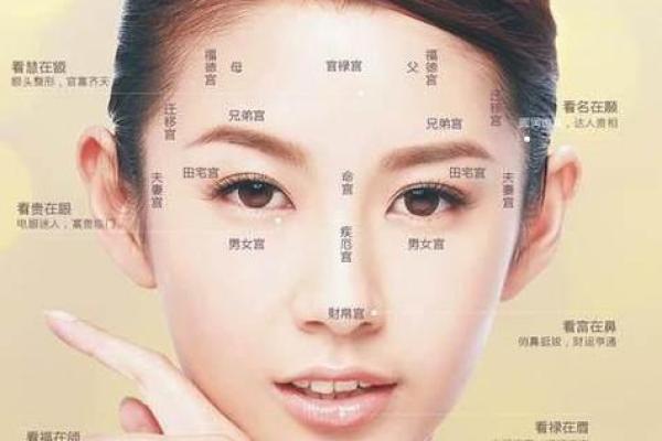 命理阴气解析：有哪些生肖容易受到阴气影响？