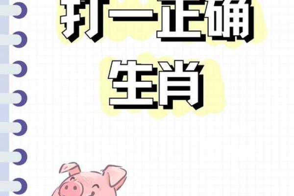 爱你如命是什么生肖？揭开生肖背后的情感密码