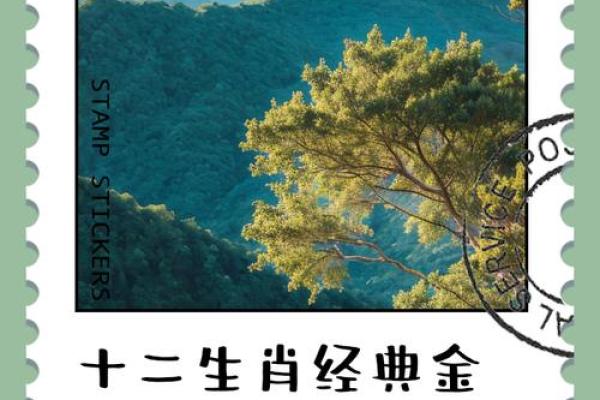 1947年出生的鼠年人命理解析与人生智慧