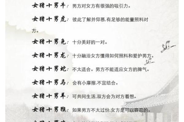 探寻幸福命：揭示与生肖密切相关的神秘力量