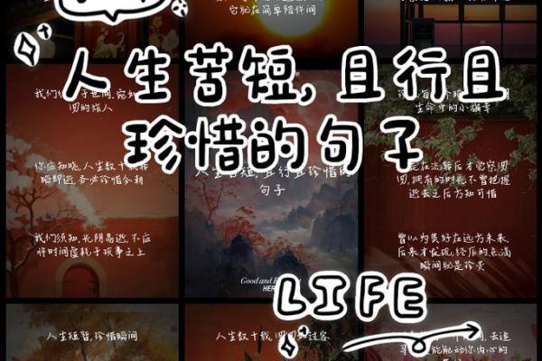 遇到好伴侣，命运的转折与人生的美好！