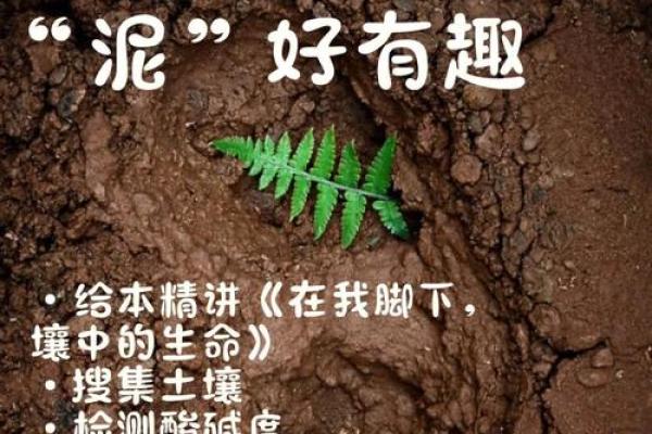 路旁土壤的秘密：如何利用自然资源打造理想生活环境