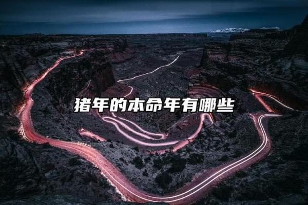 1959年:猪年人命运与个性之解读 1959年:猪年人命运与个性之解读