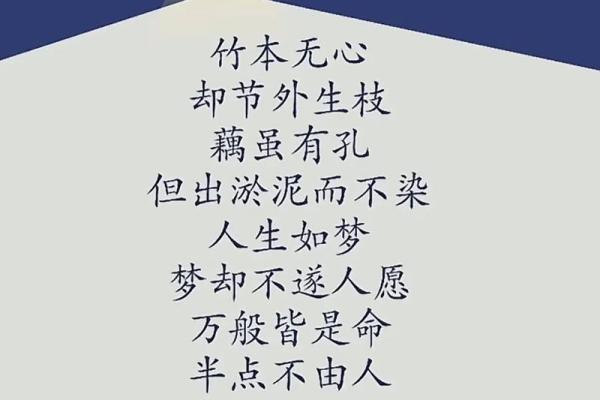 探索命运的旅程：山海皆是命的深刻寓意