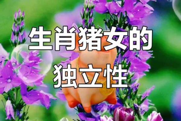 揭秘1971年出生女属猪的命运与性格特征