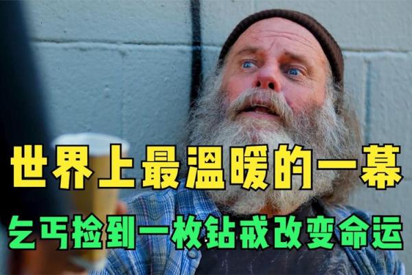 乞丐命运之下，动物的启示与共鸣