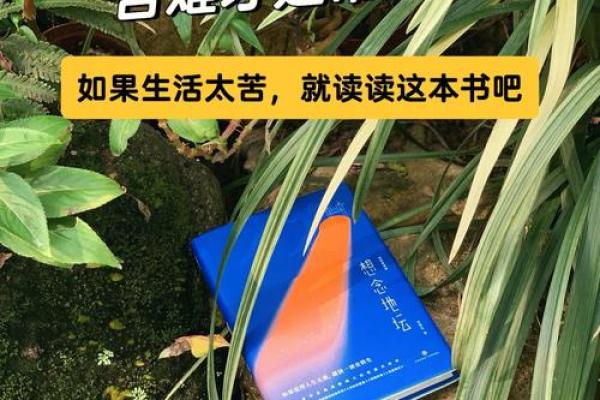 女修罗命的神秘解析与人生启示