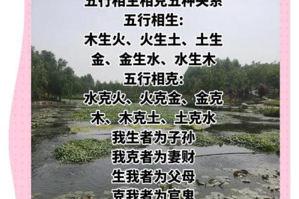 木命与水的奇妙关系：如何理解五行相生的奥秘