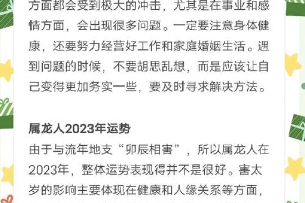 1999年兔年命解析：了解兔年的性格与好运秘籍