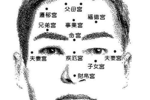 根据什么面相是富商命理学：面相与财富的秘密解析