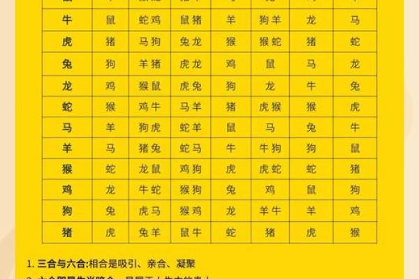 1993年出生的男性命运与性格解析：探索五行与命理的奥秘